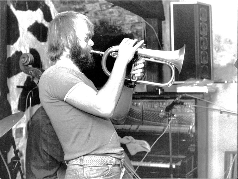 Musician Bengt Ernryd - Vintage Photograph