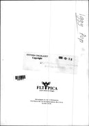 Rock singer Iggy Pop - Vintage Photograph