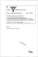 1995 TELEPHONE SWEDEN RESPONSIBLE HENRIKSSON JANERIK BAND KEYSTONE CONCERT - Vintage Photograph