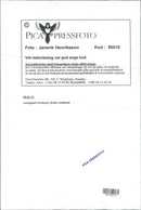 1995 TELEPHONE SWEDEN RESPONSIBLE HENRIKSSON JANERIK BAND KEYSTONE CONCERT - Vintage Photograph