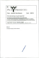 1995 TELEPHONE SWEDEN RESPONSIBLE HENRIKSSON JANERIK BAND KEYSTONE CONCERT - Vintage Photograph