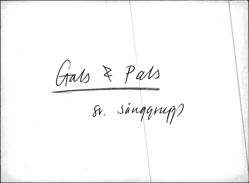 The Swedish songwriter Gals &amp; Pals. - Vintage Photograph