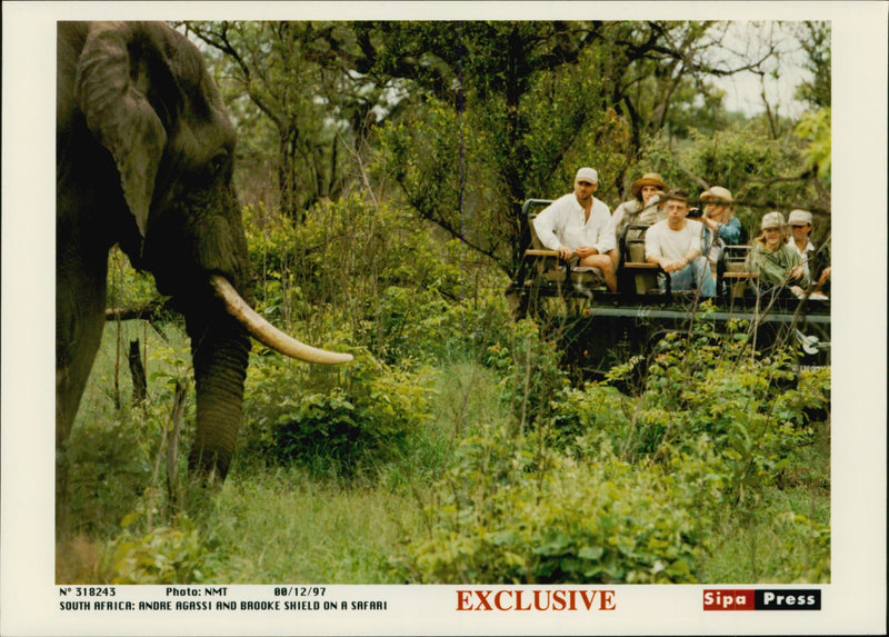 American tennis player Andre Agassi and his wife, actress Brooke Shields, on safari with friends John and Joni Pareni - Vintage Photograph