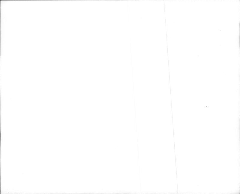 Jim Carrey in Ace Ventura: When Nature Calls". - Vintage Photograph