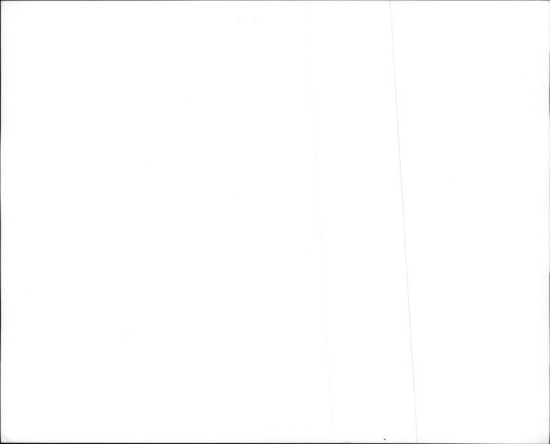 Jim Carrey in Ace Ventura: When Nature Calls - Vintage Photograph