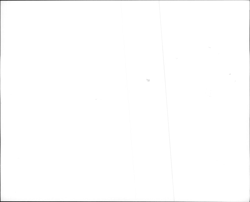 Jim Carrey in Ace Ventura: When Nature Calls - Vintage Photograph