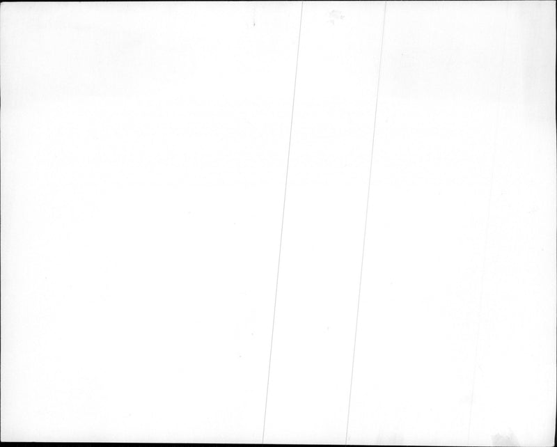 musician Harry Belafonte - Vintage Photograph
