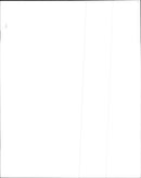 Baby Animals band - Vintage Photograph