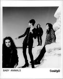 Baby Animals band - Vintage Photograph