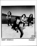 Baby Animals rock Band - Vintage Photograph