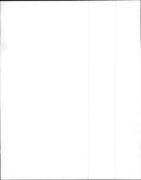 A view of group band "Baby Animals". - Vintage Photograph