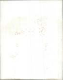 Musician - Ian McNabb - Vintage Photograph