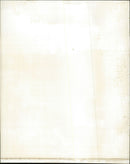 Music bands- The Sundays - Vintage Photograph