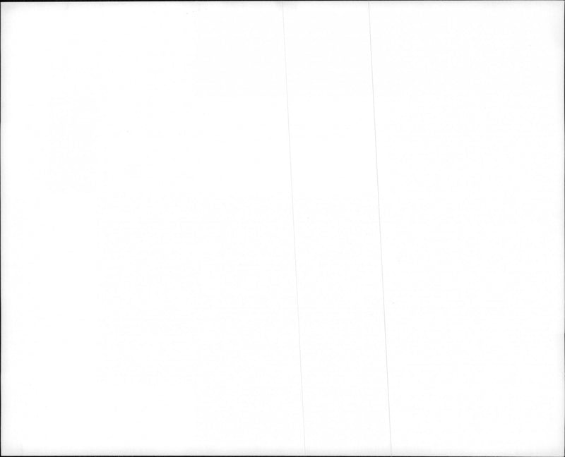 Music bands- HOusemartins - Vintage Photograph