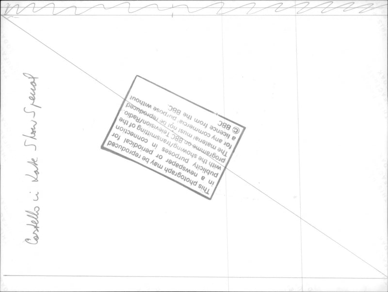 Elvis Costello. - Vintage Photograph