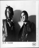 A.R. Kane Musical duo - Vintage Photograph