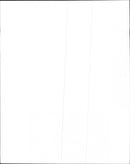 The Julie Dolphin Musical artist - Vintage Photograph