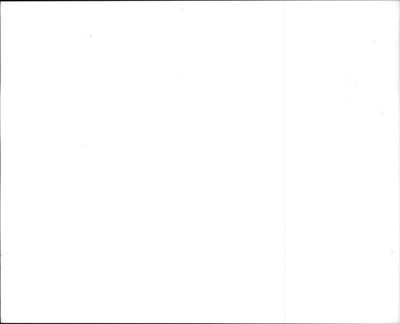 A scene from the film Ace Ventura: When Nature Calls. - Vintage Photograph