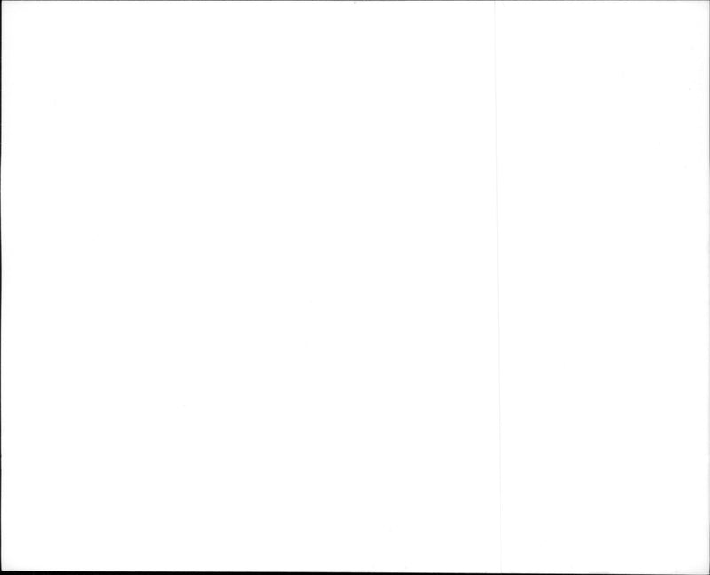 A scene from the film Ace Ventura: When Nature Calls. - Vintage Photograph