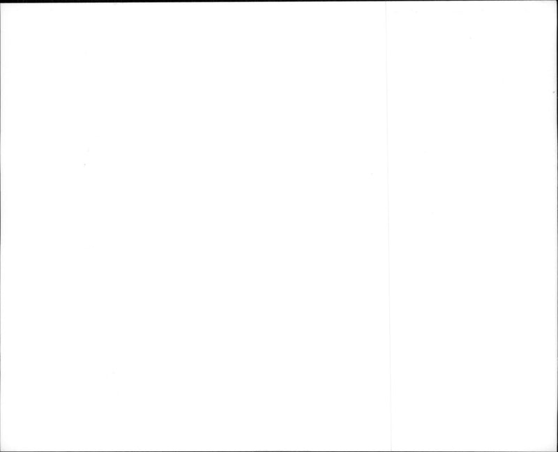 A scene from the film Ace Ventura: When Nature Calls. - Vintage Photograph