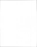 Monkey Trouble scene. - Vintage Photograph