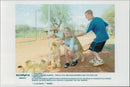 German tennis player Steffi Graf in South Africa visits the Lion Park - Vintage Photograph