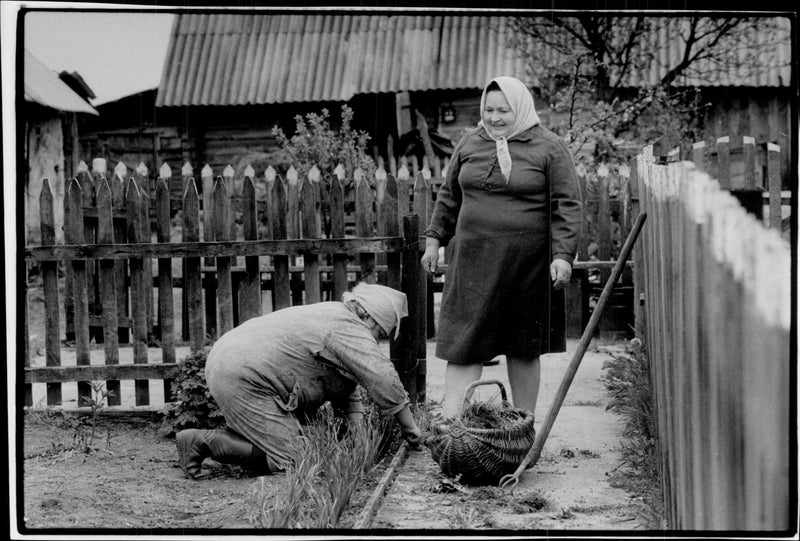 In the village of Sivitsa, people continue to grow their plots, despite the heavy radioactive precipitation after the Chernobyl accident - Vintage Photograph