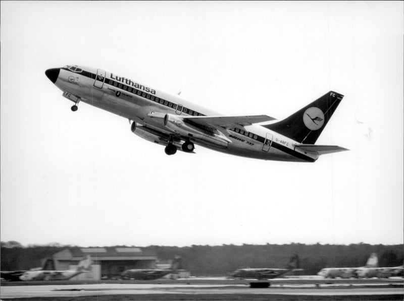 En av Lufthansas Boeing 737 hissar. - Vintage Photograph