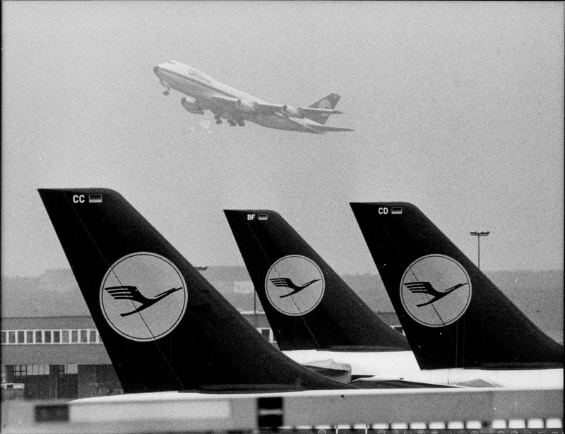 Parkerad och lyftplan i Lufthansa flottan. - Vintage Photograph