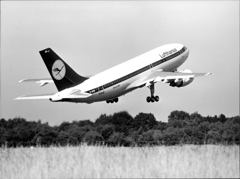 En plan av Airbus A310-modellen lyfter. - Vintage Photograph