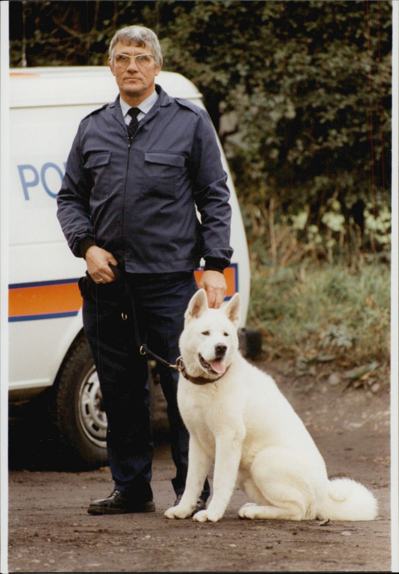 Nya hundens japanska Akita, utbildad som en polsk hund - Vintage Photograph