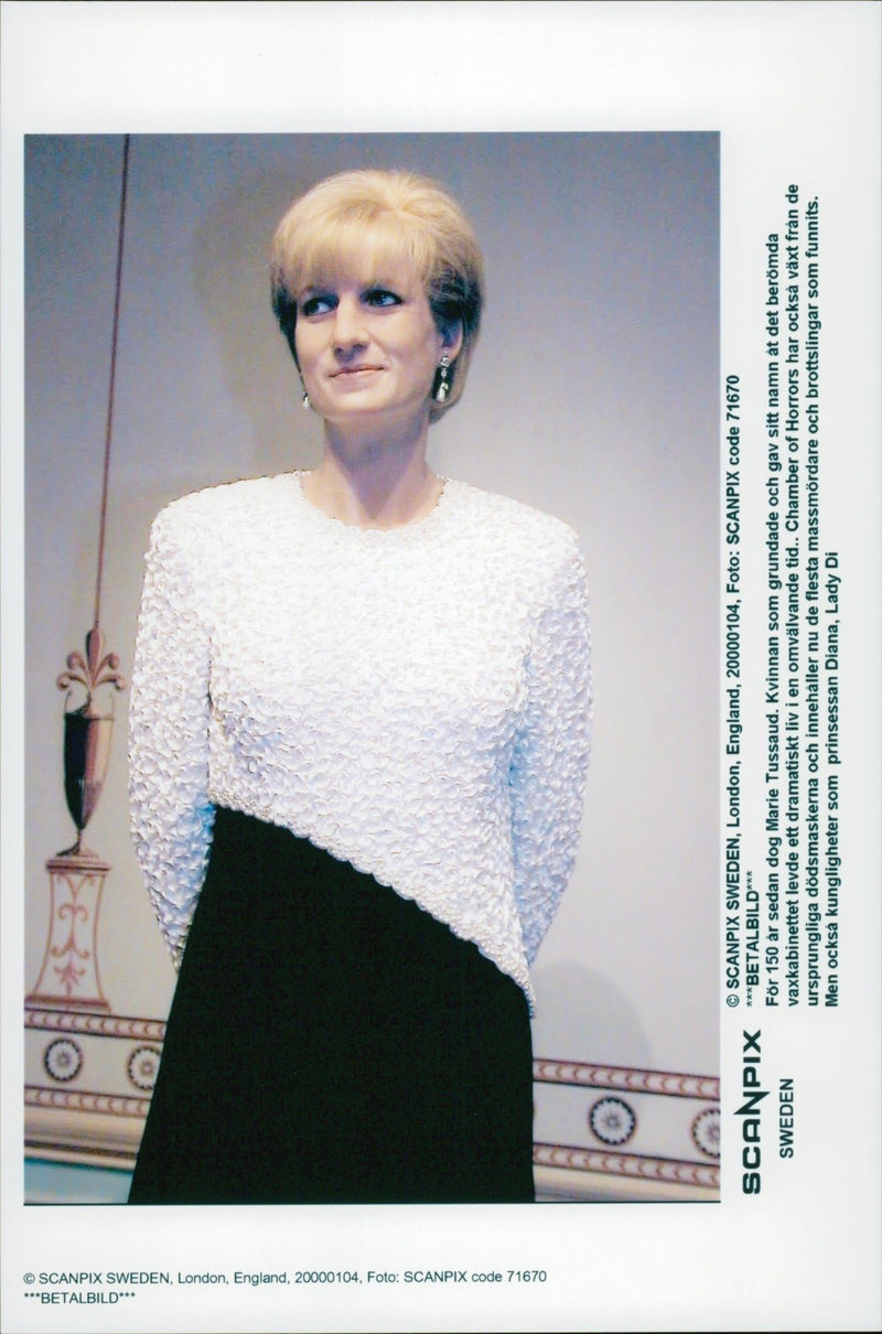 Wax cabinet on Princess Diana - Vintage Photograph