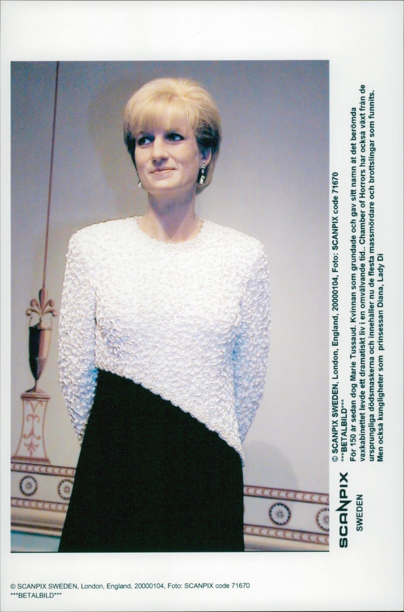 Wax cabinet on Princess Diana - Vintage Photograph