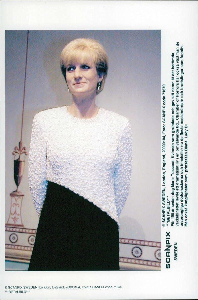 Vaxskåp på prinsessan Diana - Vintage Photograph