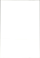 1996 OMNI CHAMPIONSHIP ATLANTA OLYMPIC GAMES STADIUM VENUE VOLLEYBALL - Vintage Photograph