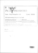 Writer Ellen Key - Year 1920 - Vintage Photograph