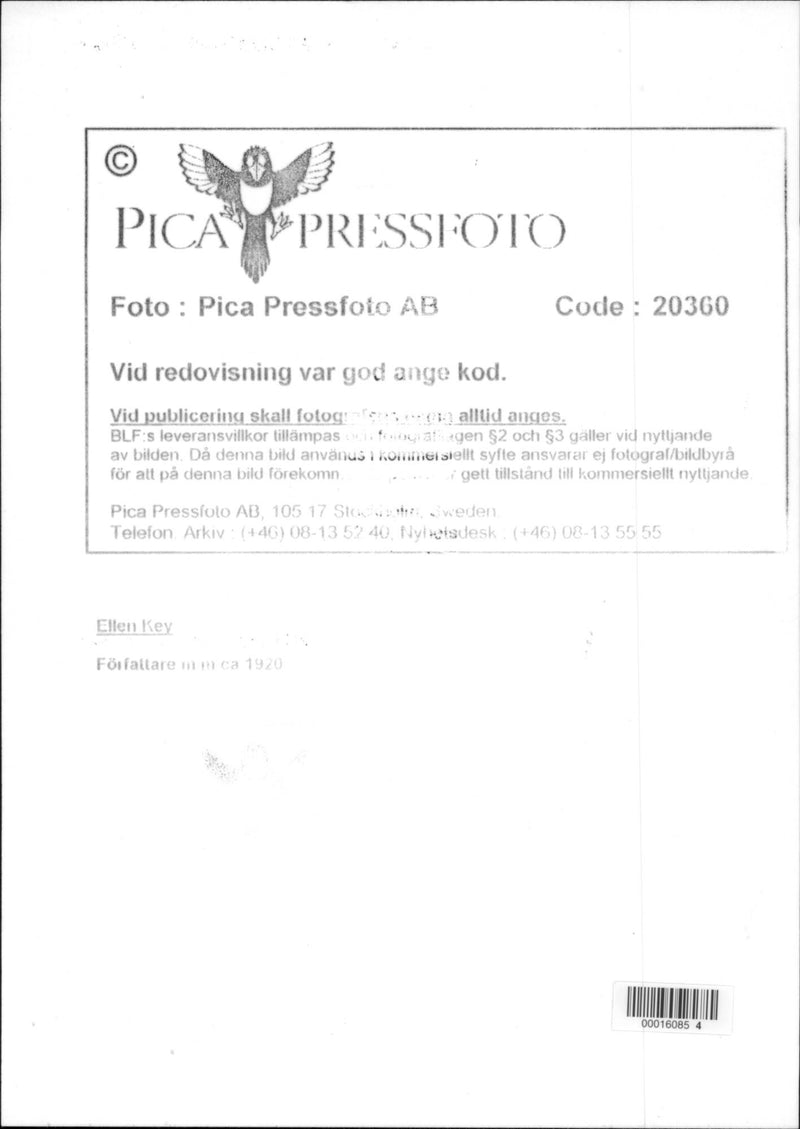 Writer Ellen Key - Year 1920 - Vintage Photograph