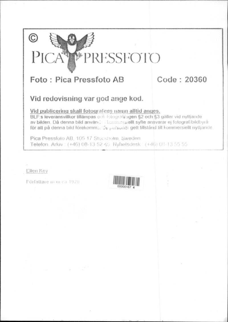 Writer Ellen Key - Year 1920 - Vintage Photograph