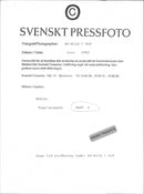 1992 MUSIC GROUP SHAVING CAPILON CODE WHEN PICTURE RAPP PRESS PHOTO IMA PICTURE - Vintage Photograph