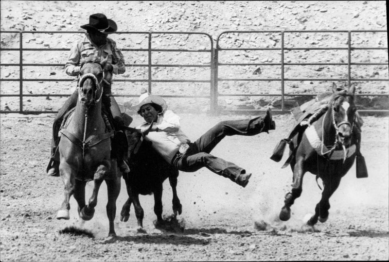 Cowboys catch a young animal on a rodeo - Vintage Photograph