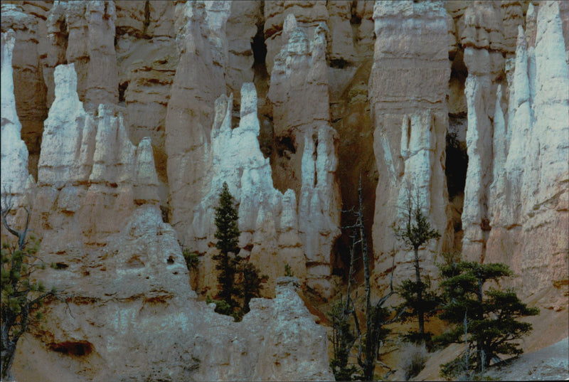 Canyon landscape in the United States - Vintage Photograph