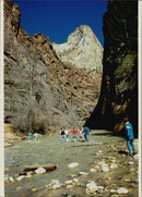 Grand Canyon - Vintage Photograph