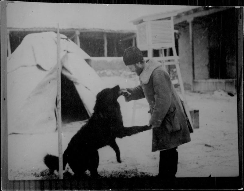 Picture from the expedition camp. - 14 November 1933 - Vintage Photograph