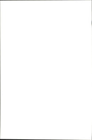 United States ice hockey team captain Cammi Granato with an American flag after winning Canada during the Winter Olympics in Nagano 1998 - Vintage Photograph