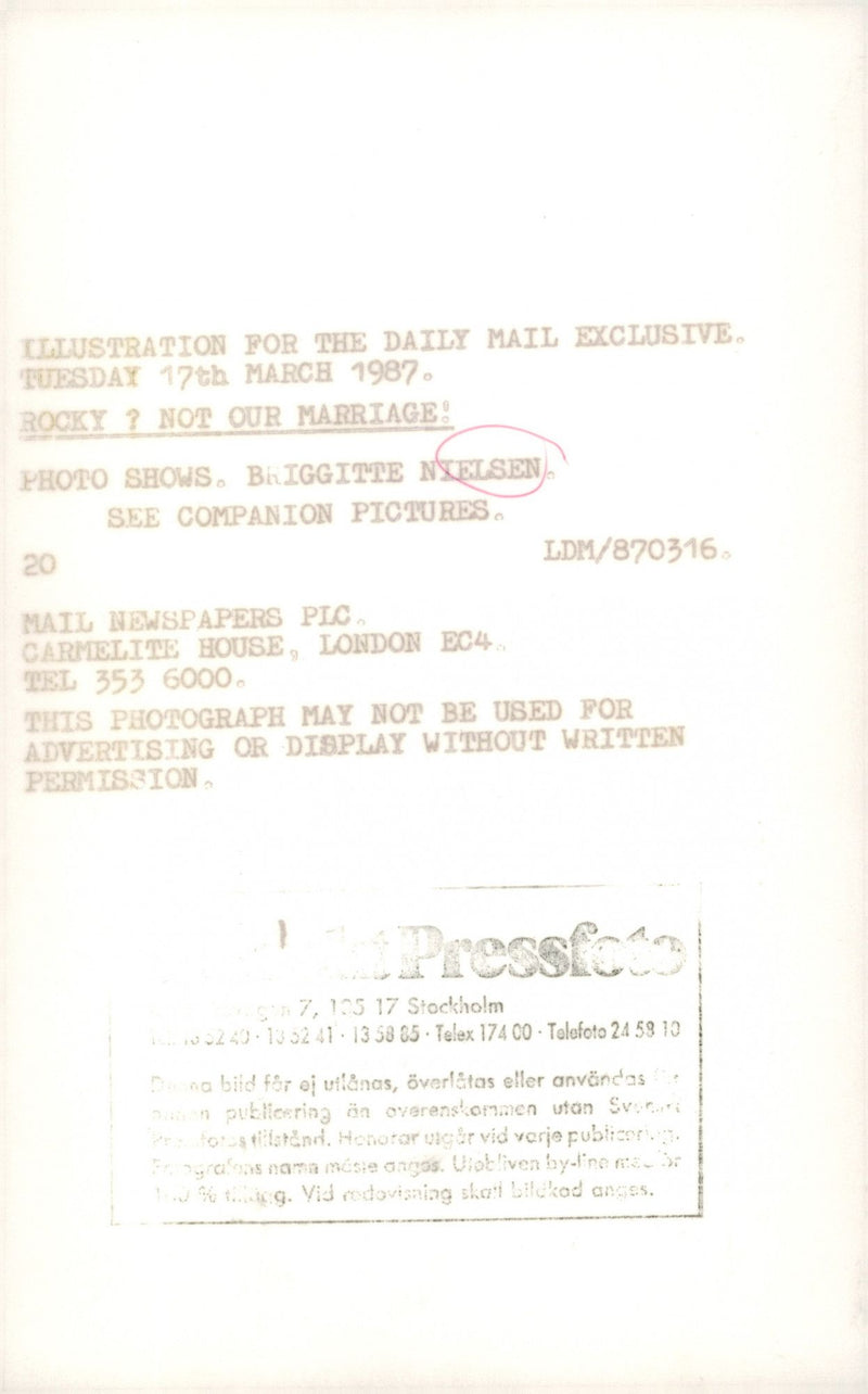 Den danska modellen och skådespelerskan Brigitte Nielsen. - Vintage Photograph