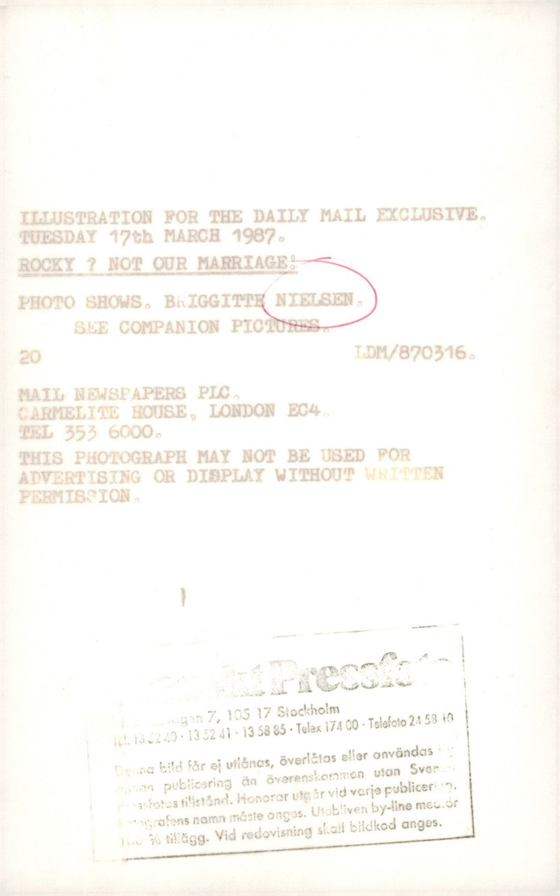 Den danska modellen och skådespelerskan Brigitte Nielsen. - Vintage Photograph