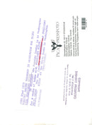 Russian leader Leonid Brezjev and US President Richard Nixon outside the White House - Vintage Photograph