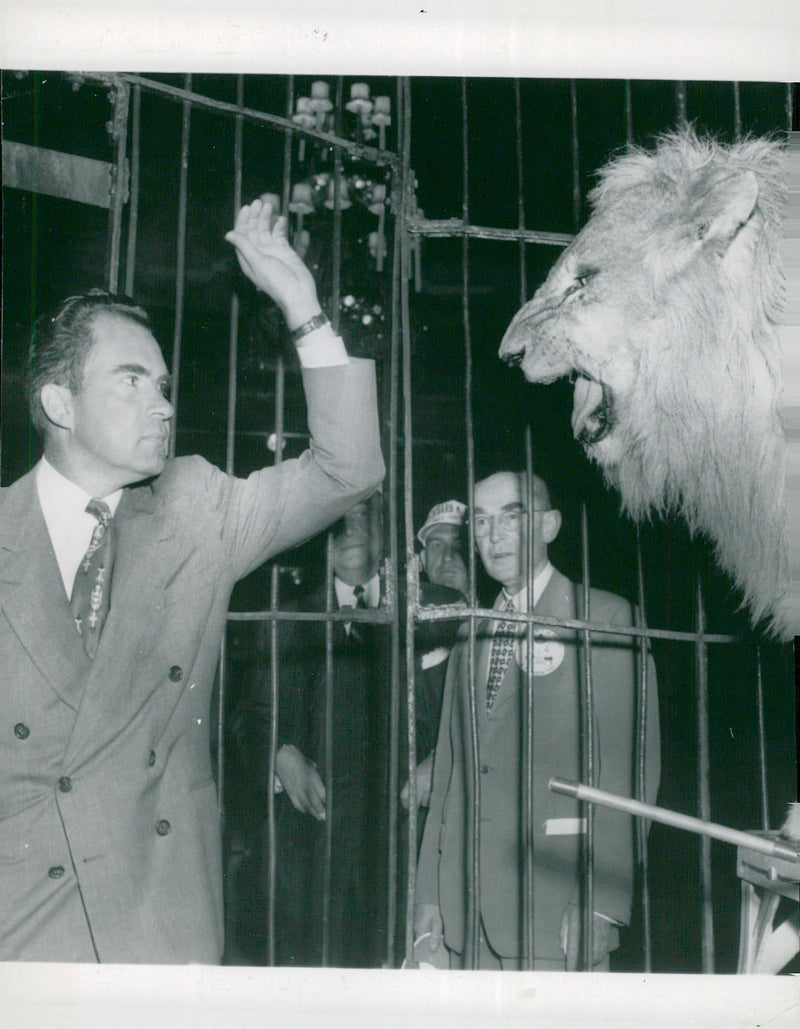 Vice President Nixon in Washington is greeted by Barnums and the lion Sheba in the cage. - Vintage Photograph