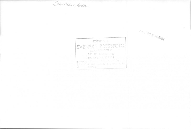 Saudi military on surveillance missions. - Vintage Photograph