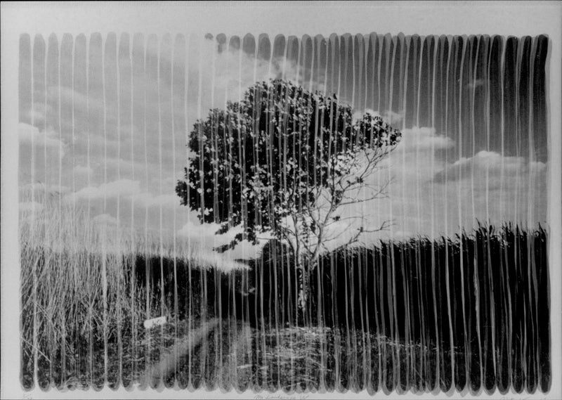 My landscape, screenplay by artist Abito Koyama - Vintage Photograph